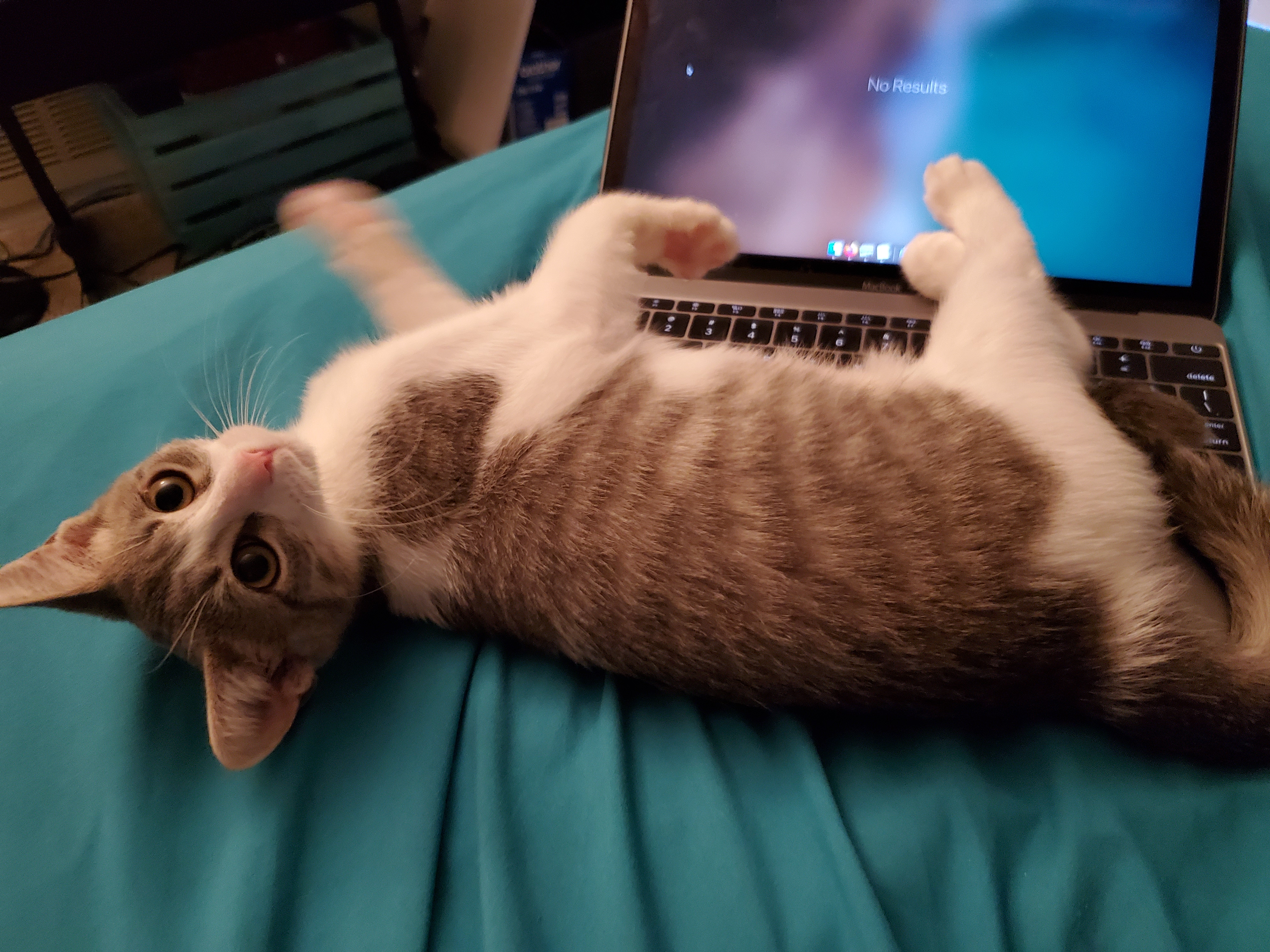 Stella is very helpful.